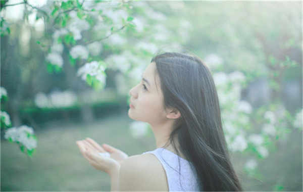 沙湾验血查男女几周可以验(验血查男女结果图)